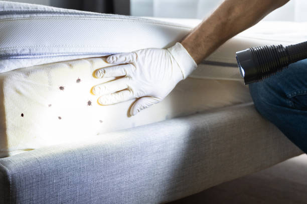 Forest Hill, TX Pest Control Company