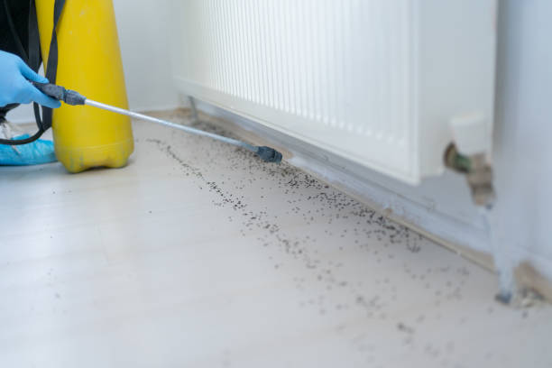Best Bed Bug Extermination  in Forest Hill, TX