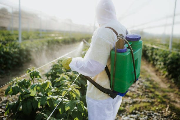 Best Exterminator Services  in Forest Hill, TX